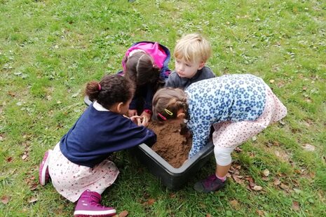 Kinder einer Kindertagesstätte legen ein Blühbeet für Insekten an.